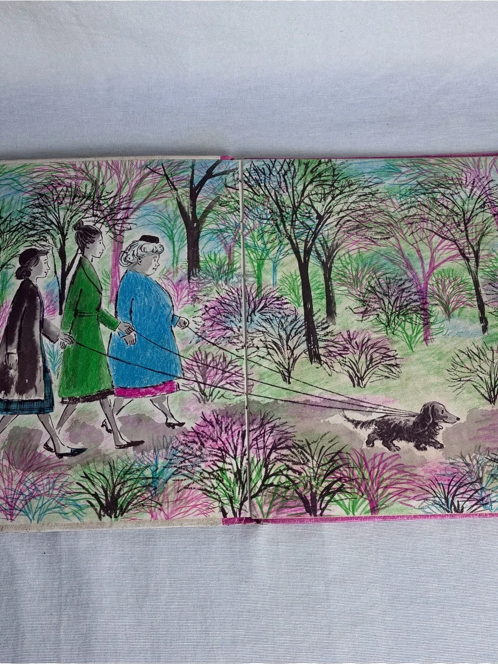 Vintage 1965 Part-time Dog Hardcover Book Jane Thayer Weekly Reader Childrens